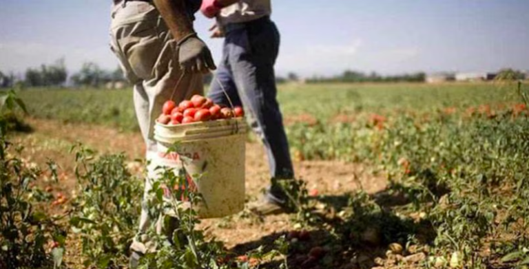 Le mafie nel lavoro e come lo influenzano