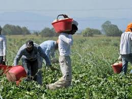 L’OMBRA DELLE MAFIE SUL LAVORO